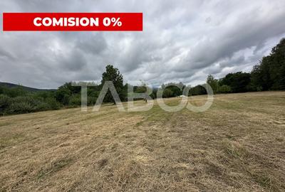 Teren intravilan 8000 mp cu anexa gospodareasca in Vistisoara - 2