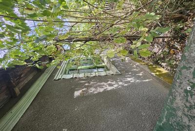 Gospodarie cu 2 case Comuna Trivale Mosteni, sat , la 30 km de Alexandria, jude?ul Teleorman - 2