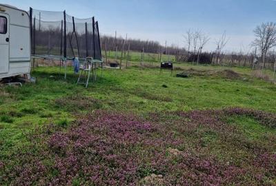 Teren de 400 mp, în Cernele