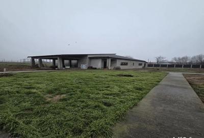 Casă cu 4 camere cu Teren 1700 Mp în Școlilor - 5