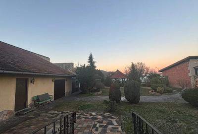 Casa de vanzare ultracentrala Jimbolia - 1