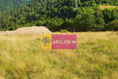 Teren Jude?ul Valcea - Brezoi, Valea lui Stan - 36