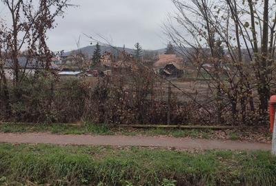 Teren de 3000 mp, în Mădăraș - 1