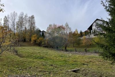 Teren de Vis in Bran - 1000mp Plat, Liniste Absoluta si Aer Curat - 19
