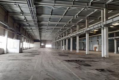 Spațiu comercial, de 2,920 mp, în Timișoara - 5