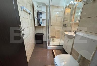 Garsoniera de inchiriat, 32mp, Brazda lui Novac - 5