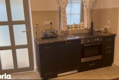 Casă cu 3 camere cu Teren 2000 Mp în Băcia - 1