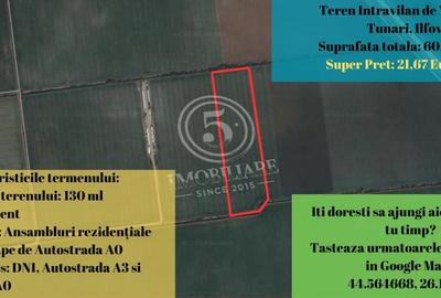 Tunari- Teren Intravilan de Vanzare- 21,67 Euro/mp - 1