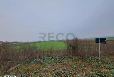Teren de 5712 mp, în Tăut - 2