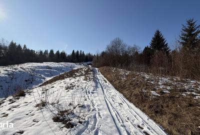 Teren de 21053 mp, în Vama - 8