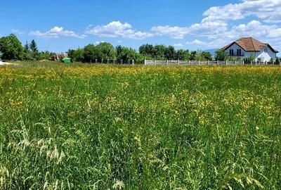 Teren Construcții intravilan de 5700 mp, în Hărman - 5