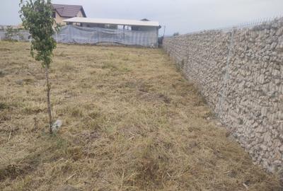 Spațiu comercial, în Florilor - 6