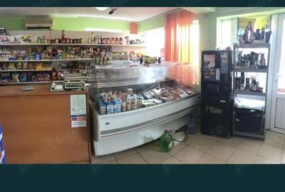 Teren de 2400 mp, în Perișoru - 7