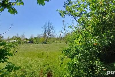 Casă cu 4 camere în Amara - 4