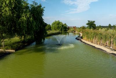 Proprietate Spectaculoasa - Sanctuar de liniste - Teren 4.7Ha - 1.000 MP Utili - 21