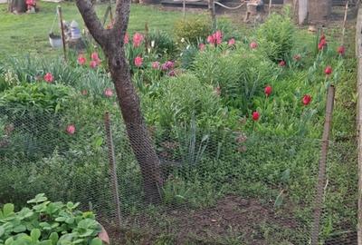 Prahova, Casa In apropiere de Ploiesti - 7