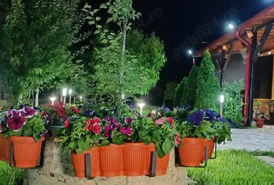 Casa de vanzare Cazasu Braila - 6