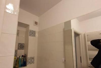 Apartament cu 2 camere semidecomandat în Valea Lupului - 3