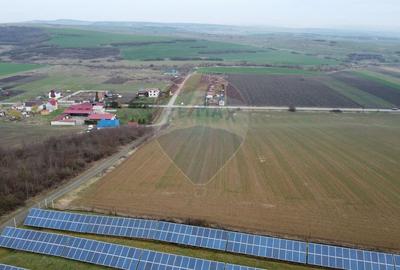 Teren de investitie 9800 mp.Luna de Jos. Acces direct din DJ161 - 5
