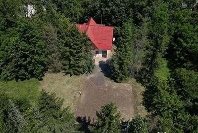 Casă cu 4 camere cu Teren 1300 Mp în Paltin - 11