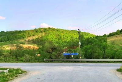 25.000 mp TEREN IDEAL AFACERE TURISM – AMENAJARE LAC DE PESCUIT, CIUCEA - CLUJ - 30