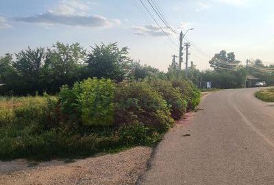 Se vinde teren 4200 mp in Teisori Giurgiu - 28