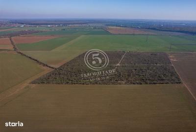 Spațiu comercial, în Săftica - 15