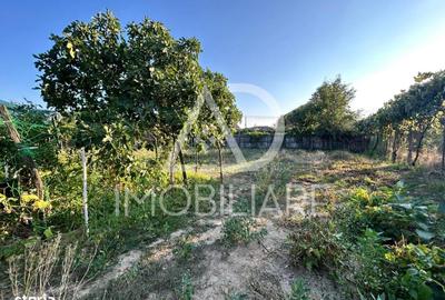 Casă cu 2 camere cu Teren 1045 Mp în Drăguțești - 3