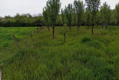 Teren de 3600 mp, în Central - 5