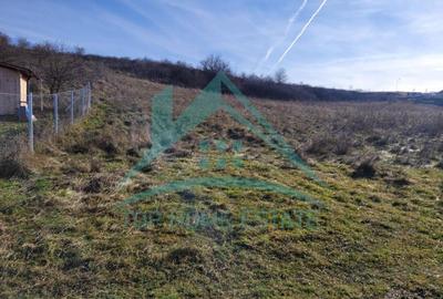 Oportunitate de investitie! Teren intravilan de vanzare in zona lacului Chinteni - 3