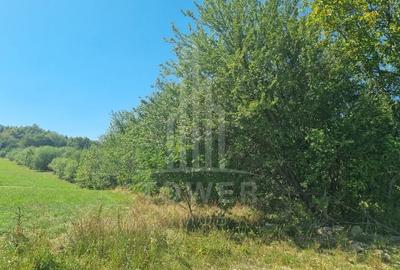 EXCLUSIVITATE! Teren la șoseaua principală | Tocile - 7