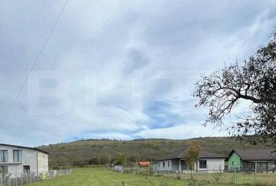 Teren de 2400 mp, în Cetate - 2