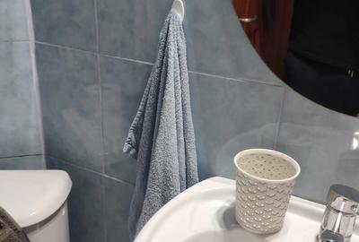 Apartament cu 2 camere decomandat în Alexandru cel Bun - 13