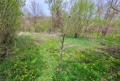 Spațiu comercial, în Fârtățești - 7