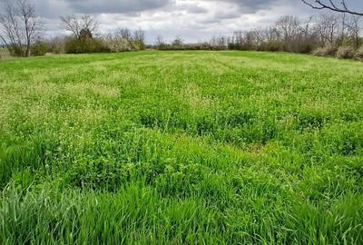 Teren de 6500 mp, în Hitiaș - 3