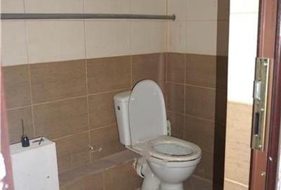 Spatiu comercial, 330 mp, zona centrala - 8