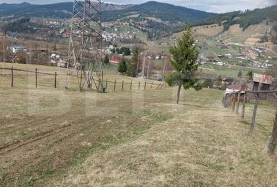 Teren de 4000 mp, în Central - 4