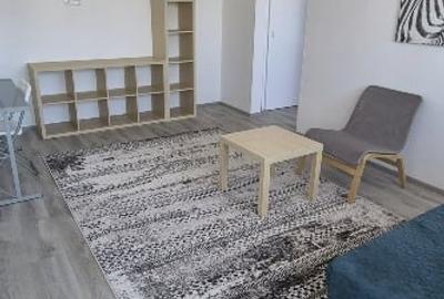 Apartament cu 2 camere semidecomandat în Domenii - 5