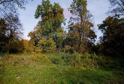 Domeniu Baronial de vanzare in localitatea CIL , Judet Arad - 8