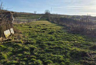 Casă cu 4 camere în Șanț - 3