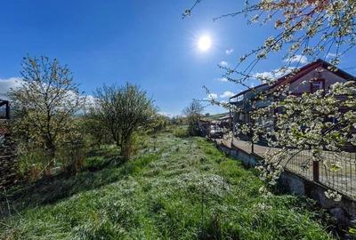 Teren intravilan 2751mp in Satul Mintia din Comuna Vetel, Judetul Hunedoara, sunt toate utilitatile. - 2