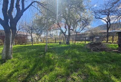 Casă individuală cu 3 camere cu Teren 1049 Mp în Satulung - 23