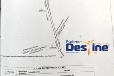 Teren de 8100 mp, în Dumești - 2