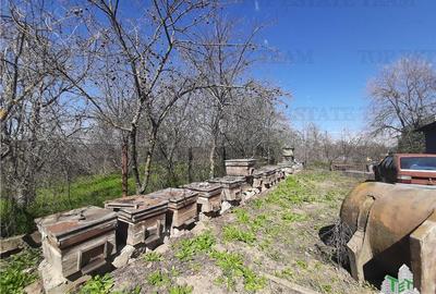 Teren 4000 mp + casa demolabila in Bragadiru/Varteju (Magurele) - 3