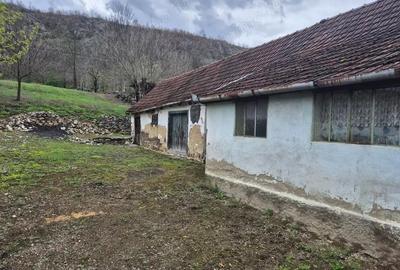 Casa in Carasova - 3