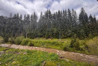 Casa Individuala, de vanzare, 360 mp, zona Piatra Fantanele - 15