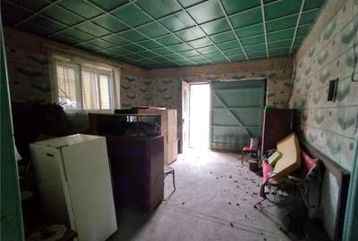 Bogodint, Casa 440mp cu 4 Hectare Teren, Pret Negociabil - 1