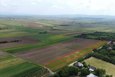 Panorama uimitoare | Cele mai frumoase locuri de casa din judet - 6