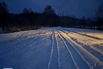 Teren de 5000 mp, în Șinca - 2