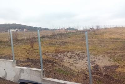 INVESTITIE! Teren intravilan 700 mp - toate utilitatile - Popesti! - 3